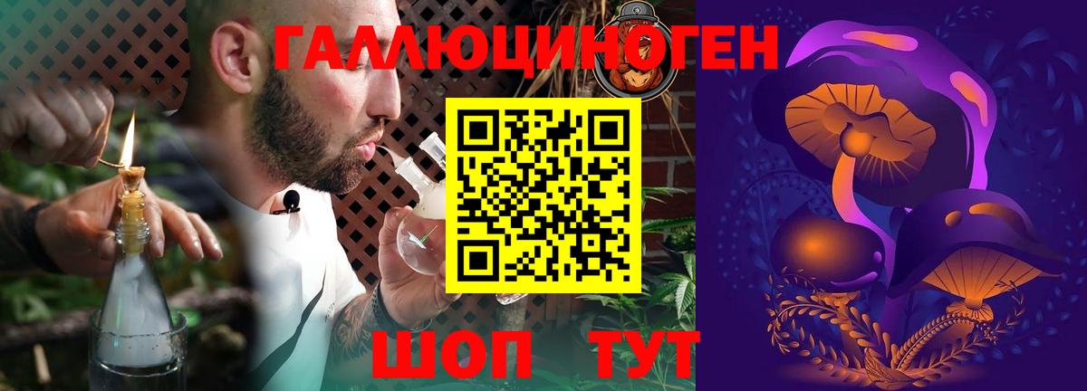 Кудрово  Галлюциногенные грибы Cubensis  Вход с VPN 
